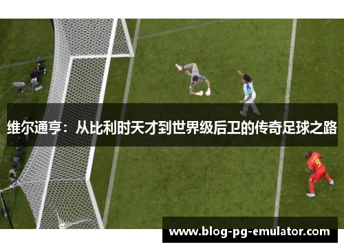维尔通亨：从比利时天才到世界级后卫的传奇足球之路
