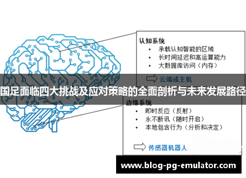 国足面临四大挑战及应对策略的全面剖析与未来发展路径