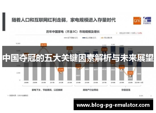 中国夺冠的五大关键因素解析与未来展望