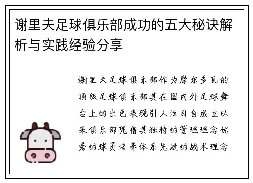 谢里夫足球俱乐部成功的五大秘诀解析与实践经验分享