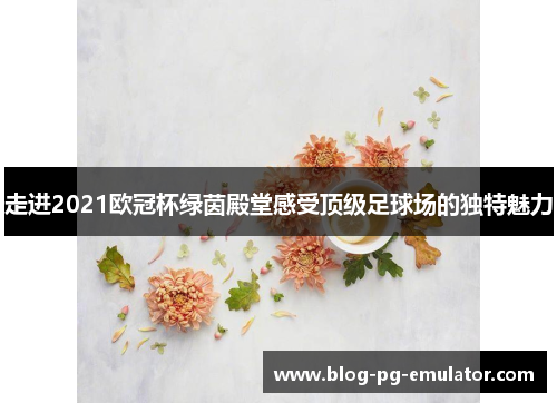 走进2021欧冠杯绿茵殿堂感受顶级足球场的独特魅力