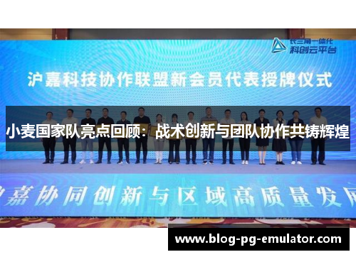 小麦国家队亮点回顾：战术创新与团队协作共铸辉煌