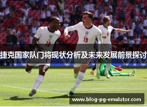 捷克国家队门将现状分析及未来发展前景探讨 捷克国家队门将现状分析及未来发展前景探讨