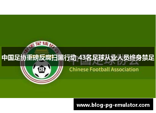 中国足协重磅反腐扫黑行动 43名足球从业人员终身禁足 中国足协重磅反腐扫黑行动 43名足球从业人员终身禁足